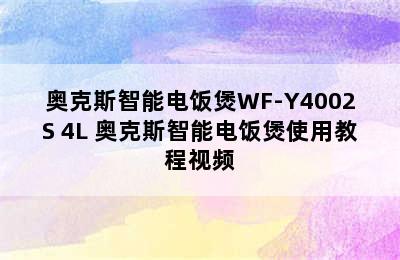 奥克斯智能电饭煲WF-Y4002S 4L 奥克斯智能电饭煲使用教程视频